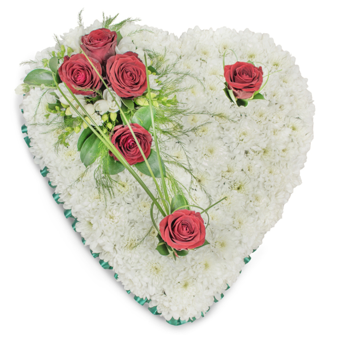 A carefully crafted heart-shaped tribute, formed entirely from hundreds of small, immaculate white chrysanthemums, presents a smooth, textured surface that reads as both tender and formal. On the upper left, a compact cluster of three deep red roses forms the arrangement's emotional focus-rich, velvety blooms tucked into a mix of broad green leaves, fern-like fronds and thin, arching bear-grass blades that extend outward in gentle, elegant sweeps. Two additional red roses break the white plane-one near the heart's upper right curve and another poised at the bottom point-each accompanied by a few small green accents that balance the overall rhythm. A narrow, emerald-green satin ribbon trims the heart's edge, defining the silhouette with a subtle sheen and a note of reverent colour. The lighting is bright and overhead, creating soft shadows that emphasize the chrysanthemum cushions and the roses' layered petals, while a cool, floral scent lingers softly. As seen in our West Norwood workshop, often ordered for services at nearby churches or memorials on Norwood High Street and Crown Point, this piece is meant to convey dignity, sympathy and lasting affection. At Flowers West Norwood we select each bloom for texture and freshness, arranging the heart so it feels like a held memory-a simple, elegant expression of condolence for families seeking a timeless tribute in the local community.