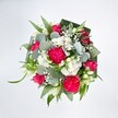 A richly detailed, top-down view of a lush round bouquet shows hot pink carnations and deep fuchsia roses clustered together against a brilliant white background, making every colour sing. The carnations are full and frilled, with layer upon layer of ruffled petals creating a plush, almost velvety texture, while the roses display classic spiralled centres, some fully open and others still cupped in tight buds that promise to unfurl. Between these bold pink blooms, small white spray chrysanthemums and daisy-like flowers form soft, clouded patches, their many fine petals catching the light and adding a gentle, cushiony feel. Wisps of white baby's breath thread delicately through the design, airy and cloud-like, while slender white buds, likely alstroemeria or a lily-style bloom, introduce a note of understated elegance and purity. Around and beneath the flowers, an abundance of greenery builds structure and depth: rounded, silvery eucalyptus leaves with their cool, muted tone sit alongside brighter green foliage and broader, darker leaves that appear to be folded aspidistra, creating a clever collar that frames the bouquet like a living wreath. The lighting is clean and even, as though the bouquet has been placed near a bright window on a quiet street in West Norwood, allowing each petal and leaf to stand out crisply. The overall impression is joyful yet refined, a design that feels perfect for sending congratulations, celebrating a birthday, or surprising someone at home near Norwood High Street with a burst of fresh, garden-inspired colour and texture that feels handcrafted and thoughtfully balanced.