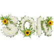 A tender, three-dimensional funeral tribute arranged horizontally to spell the word SON, each capital letter sculpted from a dense carpet of small, pristine white chrysanthemums. Viewed against a stark white backdrop, the soft, velvety heads of the chrysanthemums form a cloud-like surface that invites touch and suggests quiet peace. Dark green ivy vines are threaded through and around each letter, their glossy, five-lobed leaves and trailing tendrils adding a living, evergreen counterpoint to the white blooms; the ivy's cool, leathery texture deepens the arrangement's sense of continuity and resilience. Lush fern fronds and pointed leafy sprigs nestle within the 'O' and along the inner curves, introducing lighter green tones and delicate feathering that catch the light. Three bright yellow sunflowers punctuate the design with warm optimism: one rests at the upper left curve of the 'S,' another sits low in the center of the 'O' surrounded by ferns, and a third brightens the upper right of the 'N.' Their broad golden petals and rich, dark brown centers draw the eye and soften the sorrow with hints of remembered sunlight. Soft studio lighting reveals subtle shadows between petals and leaves, emphasizing the letters' depth and the florist's careful layering. As a bespoke sympathy piece, this composition balances purity, memory, and a gentle celebration of life-the white chrysanthemums for peace, the evergreen ivy for lasting connection, and the sunflowers for warmth and hope. A florist familiar with West Norwood's community might imagine this tribute placed before the restored gravestones at West Norwood Cemetery or delivered to a family home on Norwood High Street, offering a dignified, heartfelt way to honour a beloved son.