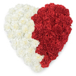 An overhead view of a plush, heart-shaped composition made entirely from hundreds of tightly clustered carnations, presented against a crisp white background so every petal and contour is clearly read. The heart is split cleanly down the middle into two tonal fields: the left side a soft, off-white to creamy palette of carnations whose ruffled, layered petals create a pillowy, tactile surface; the right side an intense, saturated red, each bloom curled into the familiar crinkled rosette of a fresh carnation. Where the two colours meet there is a deliberate, serrated vertical boundary - a rhythmic, saw-tooth edge that gives the piece an almost heraldic seam and immediately calls to mind national symbolism associated with Bahrain's flag. The lighting is diffuse and even, catching the tiny ridges and shadowed folds of each flower so the arrangement reads as both sculptural and intimately hand-crafted. Close inspection reveals individual stems and calyces set to create a continuous, lush field of petals, and the scent is quietly floral, a faint clove-like note that complements the visual softness. This arrangement feels both celebratory and reverent: suitable as a patriotic tribute at a community gathering or as a statement of love and unity in a private moment of reflection. As a West Norwood florist might suggest for local commemorations near Norwood Road or for floral displays at civic events by the station, it balances dignity and warmth, offering a visually clear emblem of identity while remaining tender and accessible to those paying respects or celebrating heritage.